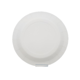 Paper Plate